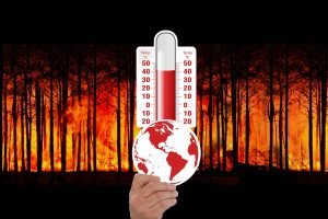 Klimaatverandering, wereldbol, bosbranden